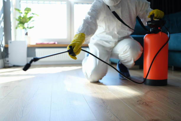 Reliable Odor Removal contractor in Fort Smith, AR by Trauma Clean Pros